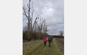 Samedi 31 janvier 2026 - Sortie sur la journée