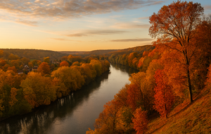 Sortie sur la journée - Villiers le Bâcle